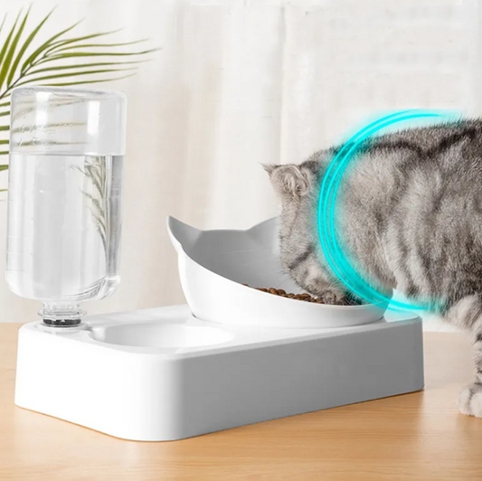 Feeding Bowl with Automatic Water Dispenser